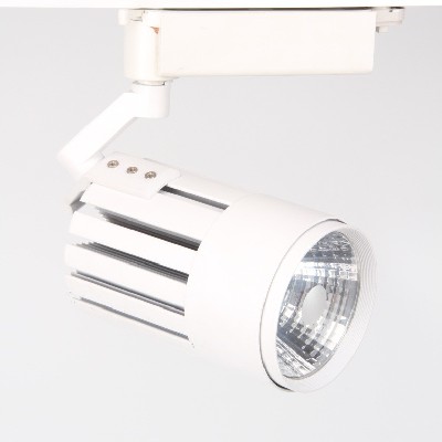 LED down light BCTD233