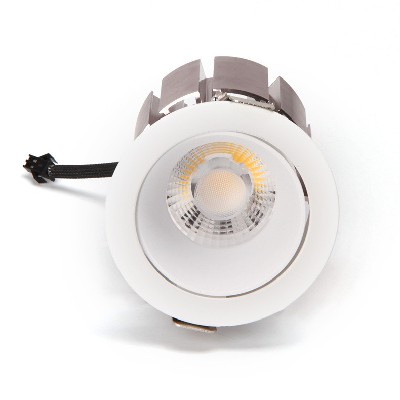 LED down light BCTD244